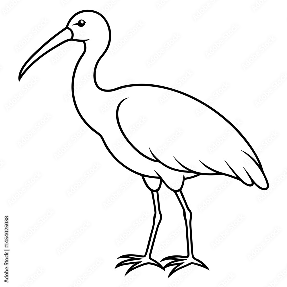 Fototapeta premium Minimal White Ibis Vector on White