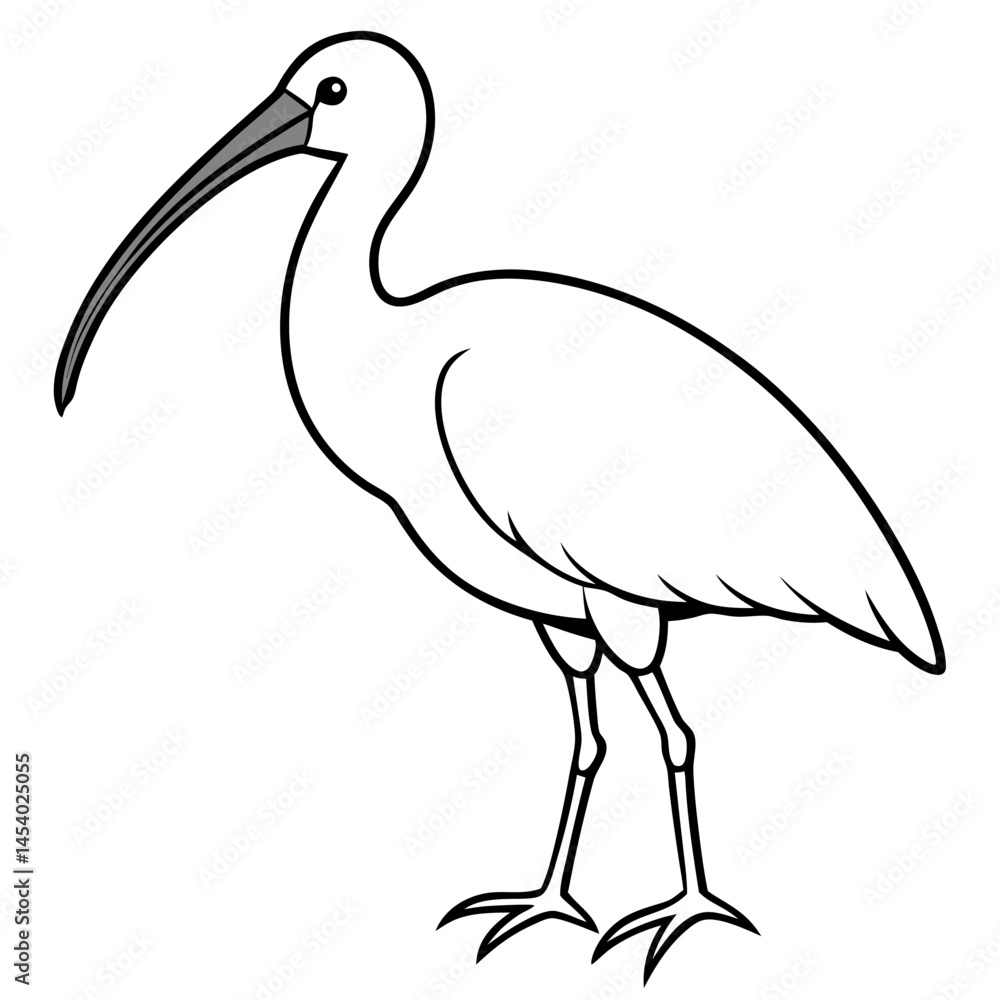 Fototapeta premium Minimal White Ibis Vector on White