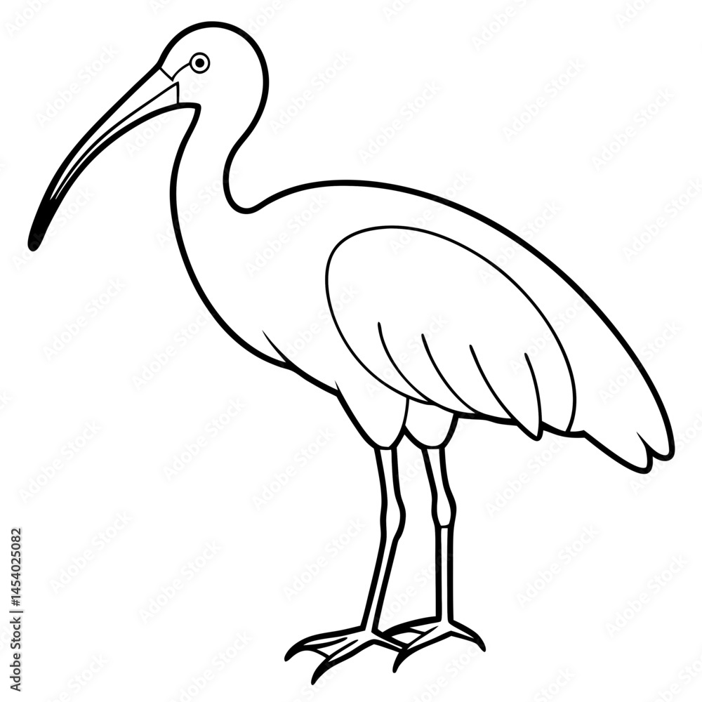 Obraz premium Minimal White Ibis Vector on White