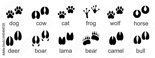 Animal tracks set. Footprints paw prints isolated