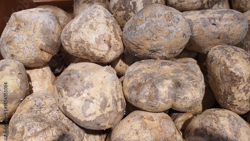 Close up pile of tasty fresh jicama sold at the market as a background.	