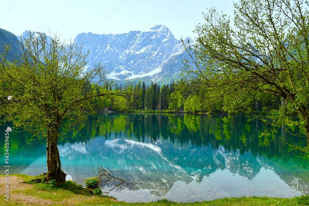 Trees at the shore of lago di fusine inferiore and MAngart mountain peak above in municipality of Tarvisio, Italy
