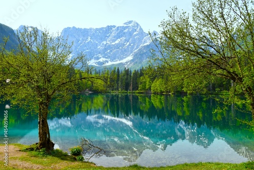 Trees at the shore of lago di fusine inferiore and MAngart mountain peak above in municipality of Tarvisio, Italy
