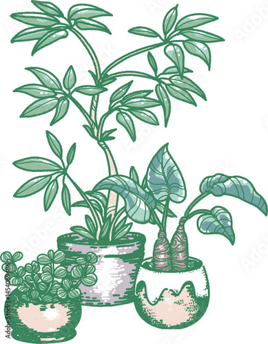 3種類の観葉植物のイラスト