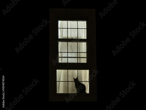 窓辺の黒猫
