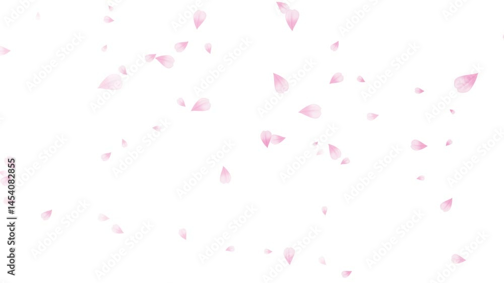 Falling Sakura Petal leaves graphic animate Alpha background Falling Sakura Petal leaves graphic animate Alpha background
