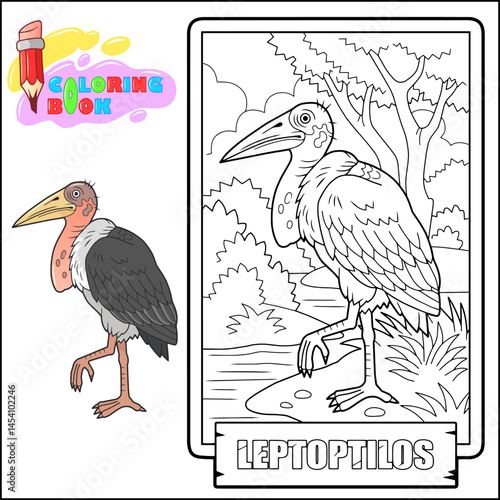 African bird marabou, coloring page