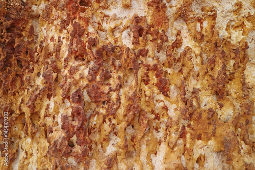 Wallpaper Mural Texture of Rock Surface Called Pha Daeng, a Red-hued Cliff of Iron Accumulation for Millions Years in Prachuap Khiri Khan Province, Thailand Torontodigital.ca