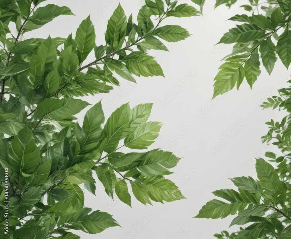 Fototapeta premium Vibrant green leaves, crisp detail, white background, greenery, botany, graphic