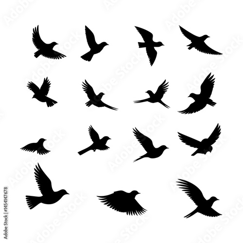 Flying Bird Silhouette in Full Spread Set