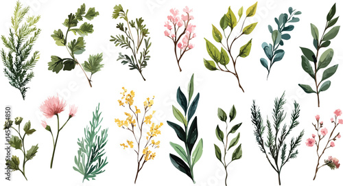 Floral and leaf card. watercolor design. For banners, posters, invitations, Watercolor flora green & gold leaf branches collection floral pattern.