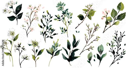 Colorful floral botanical illustrations, vector set  set featuring a botanical bouquet collection including dragonflies bees butterflies
 