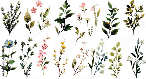 Set of floral branch. Flower pink, yellow rose, green leaves.  Watercolor floral bouquet illustration set - blush pink blue yellow flower green 