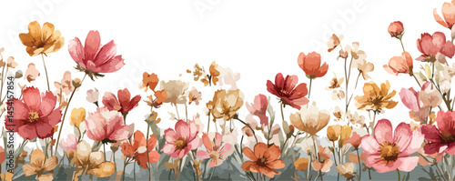 Spring season card of hand drawn cute flowers A collection of real colourful dwarf dahlia flower heads isolated white 