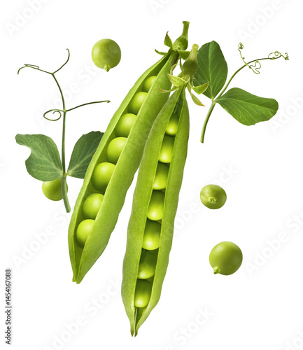 Bilde på lerret Fresh raw ripe Pods of Green Peas falling in the air isolated on white background