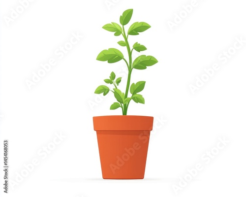 Growing tomato plant in terracotta pot
