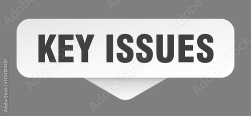 key issues sticker. key issues sign isolated on gray background