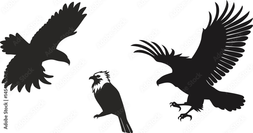 Obraz premium eagle vector illustration black art silhouette 