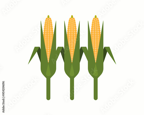 Three corn cobs on the white background illustration vector
