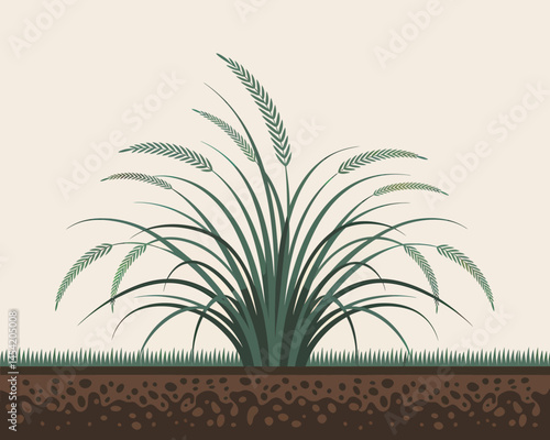 Delicate Digital Illustration of a Lush Wild Grass Patch