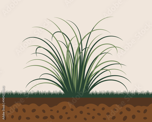 Green Grass Blades Clump Illustration in Garden Soil Background