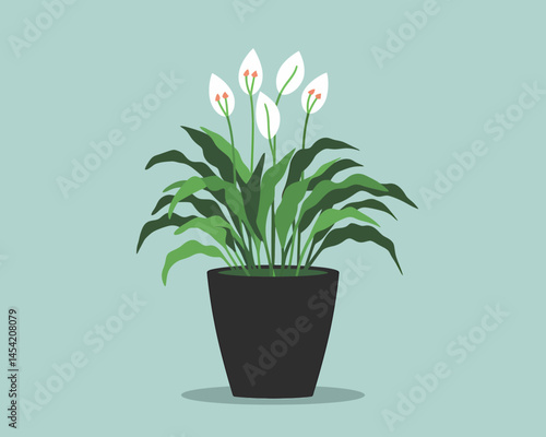 Elegant Peace Lily Plant Illustration for Indoor Decor