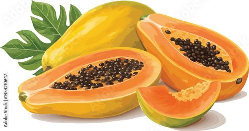 Papaya with papaya slice isolated in white background vector design, Papaya illustration vector design