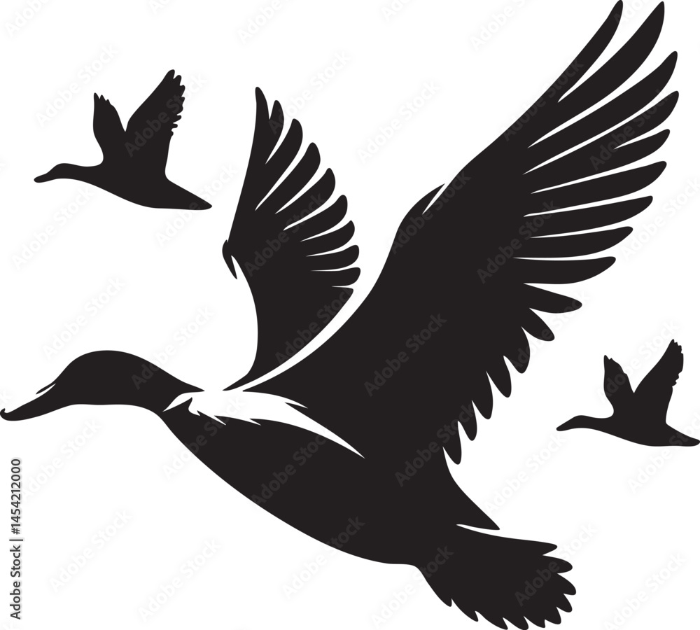 Fototapeta premium Flying Duck Silhouette Vector – Bird Migration Black Icon