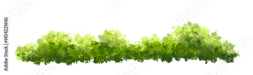 green grass isolated on white, Vector of green tree side view isolated on white background ,watercolor tree elevation for landscape concept,environment scene,eco design, garden for spring