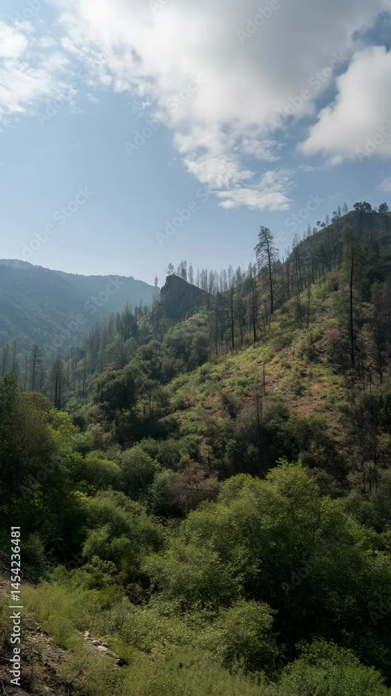 Scenic mountain landscape with green vegetation and charred tree trunks under a cloudy sky, illustrating nature's recovery and resilience Scenic mountain landscape with green vegetation and charred tree trunks under a cloudy sky, illustrating nature's recovery and resilience