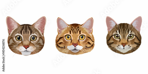 Stylized Cats Head, Illustrated Cat Faces with Unique Fur Patterns and Expressive Features