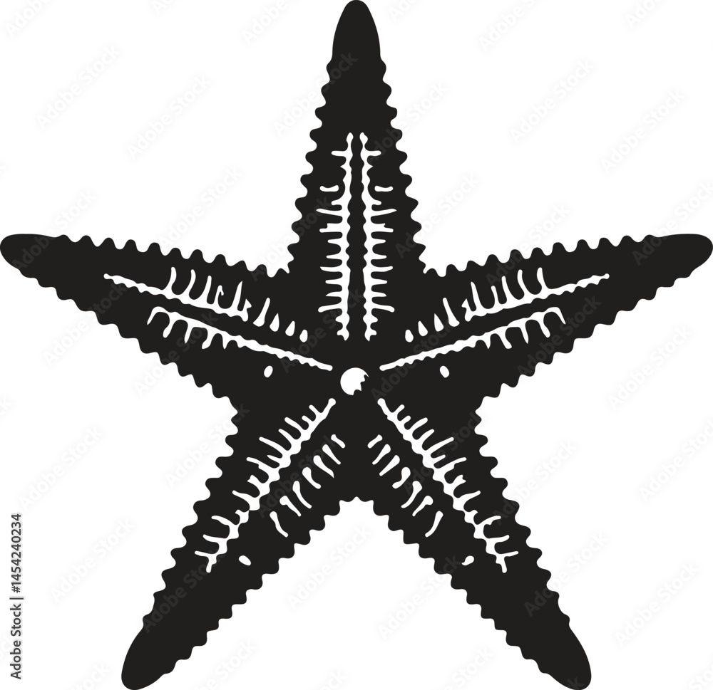 Star Fish silhouette Star Fish silhouette