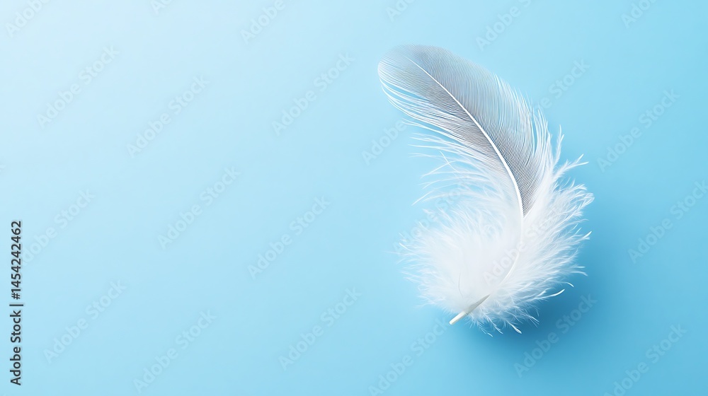 Graceful white feather resting gently against a soothing blue backdrop Graceful white feather resting gently against a soothing blue backdrop