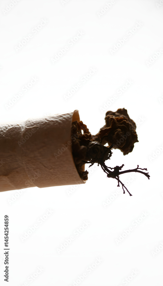Fototapeta premium Tobacco isolated with white highlights, png. White tone