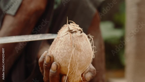 Cutting into a coconut with a knife, tropical food Zanzibar
