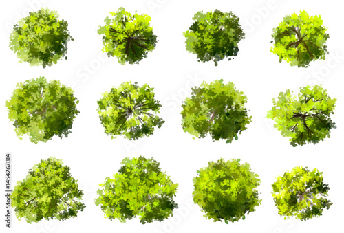Vector watercolor green tree or forest top view isolated on white background for landscape plan and architecture drawing,plant for environment or garden,botanical element for exterior layout