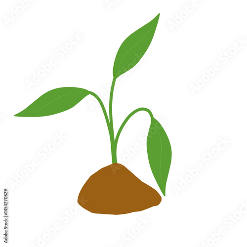 Illustration of a newly grown shoot plant. Illustration of a shoot plant with fertile soil

