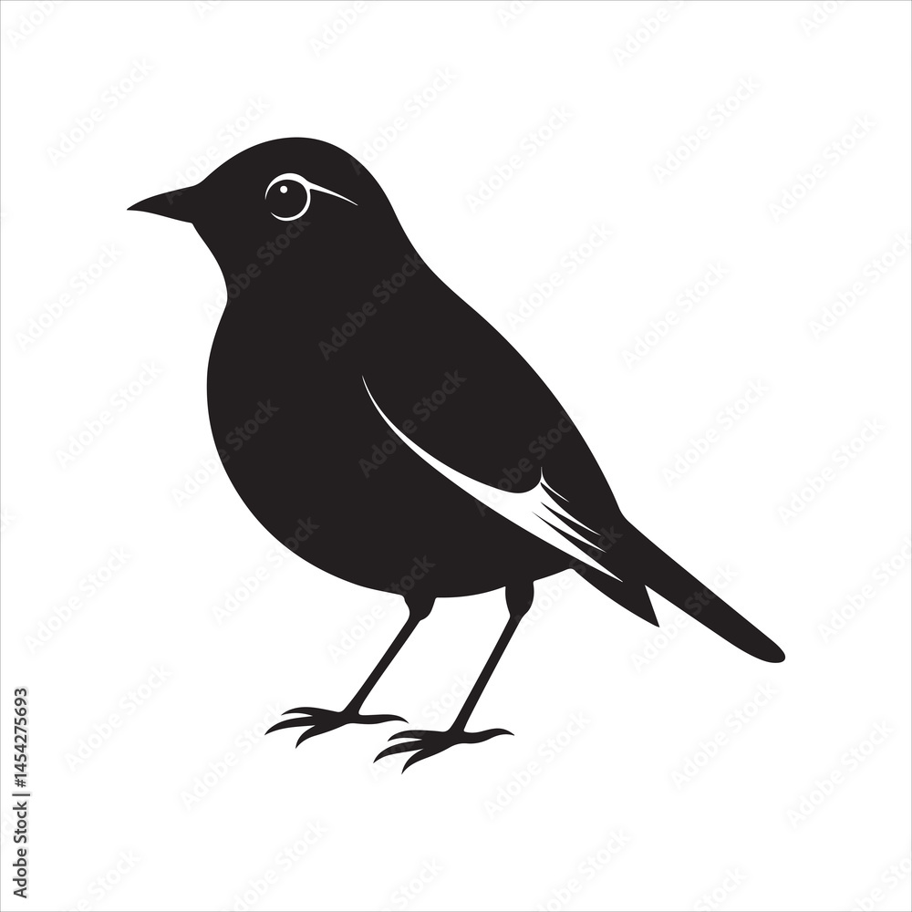 Obraz premium american robin silhouette black vector