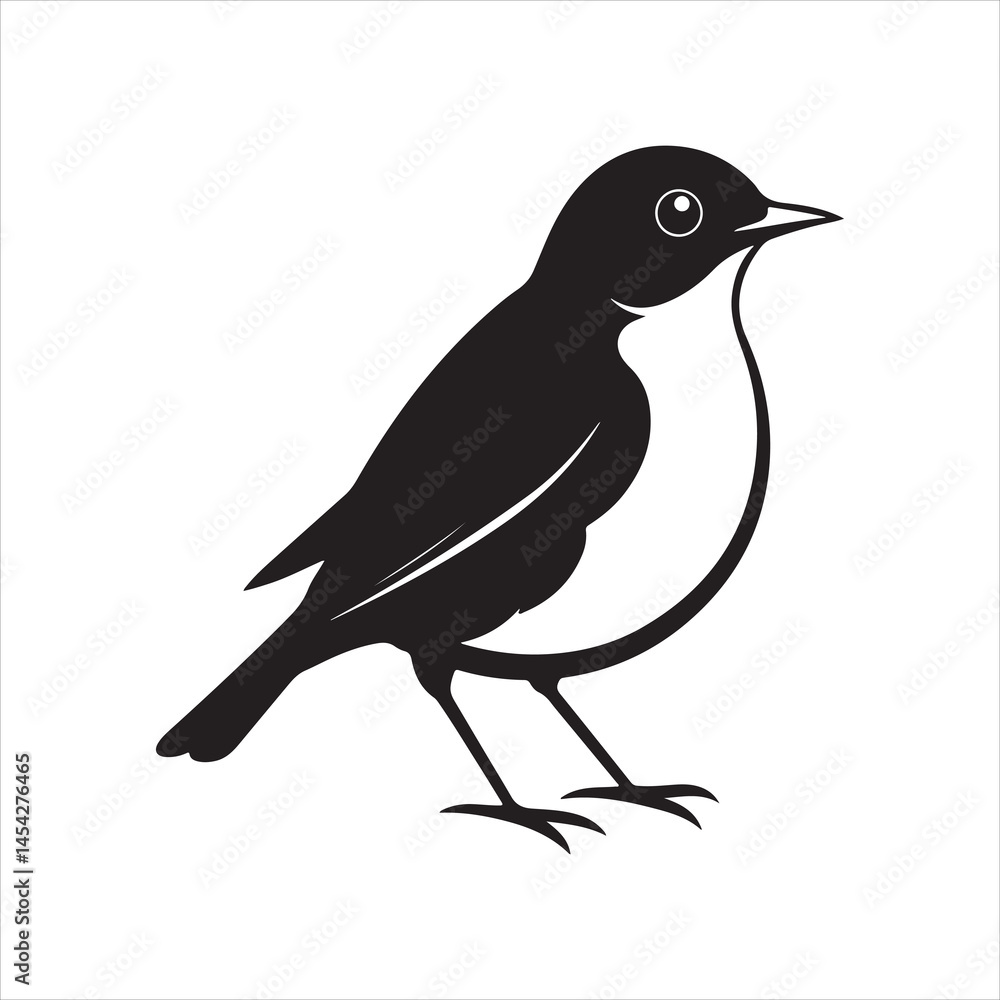 Fototapeta premium american robin silhouette black vector