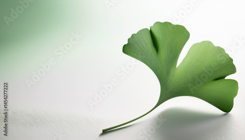 Green ginkgo leaf Generated image