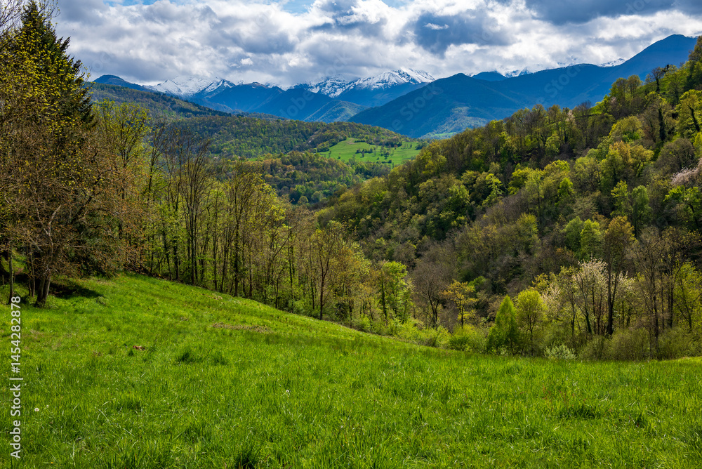 Fototapeta premium Paysage du Couserans