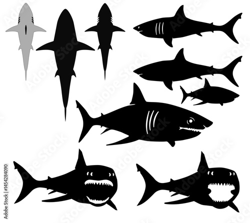 Hai Fische