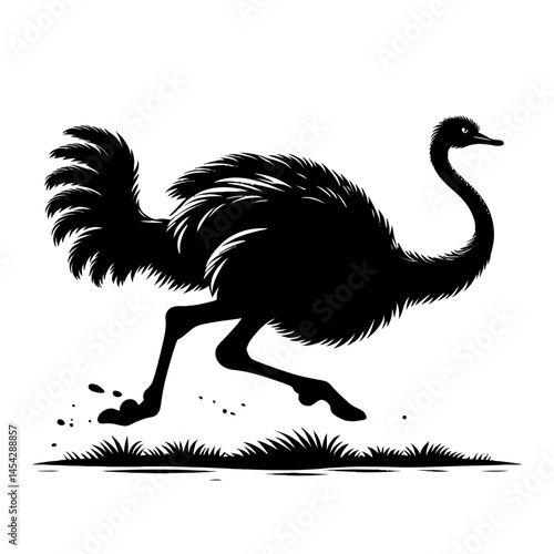 Running ostrich silhouette zoo area white background vector