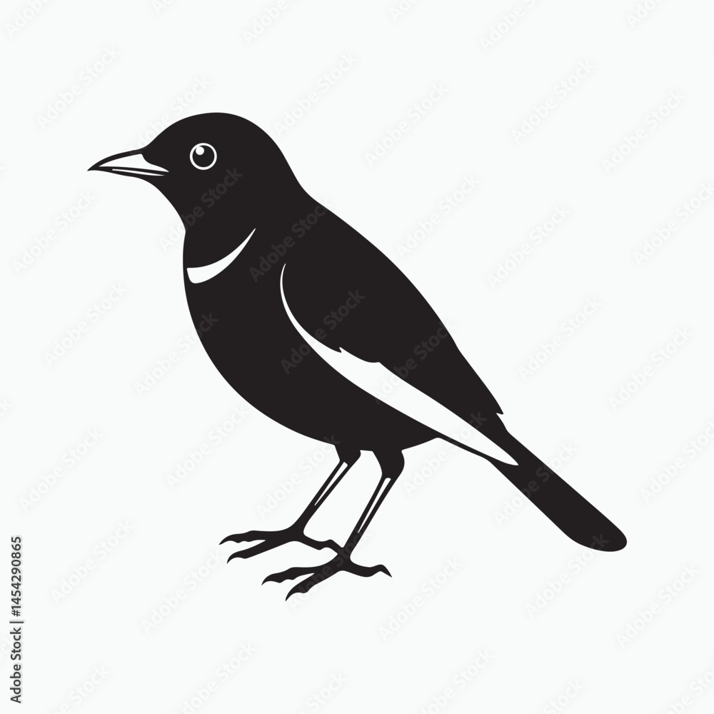 Obraz premium american robin silhouette black vector