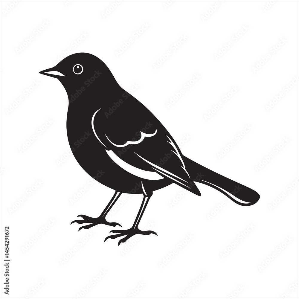 Obraz premium american robin silhouette black vector