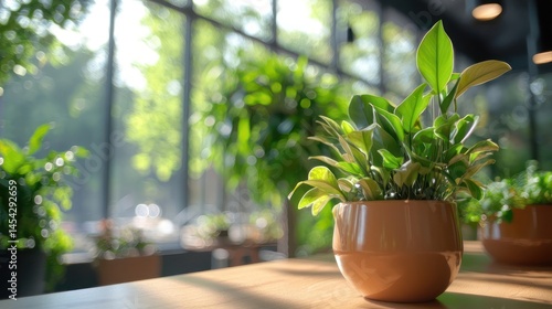 Wallpaper Mural Eco-friendly office background, plants and natural light Torontodigital.ca