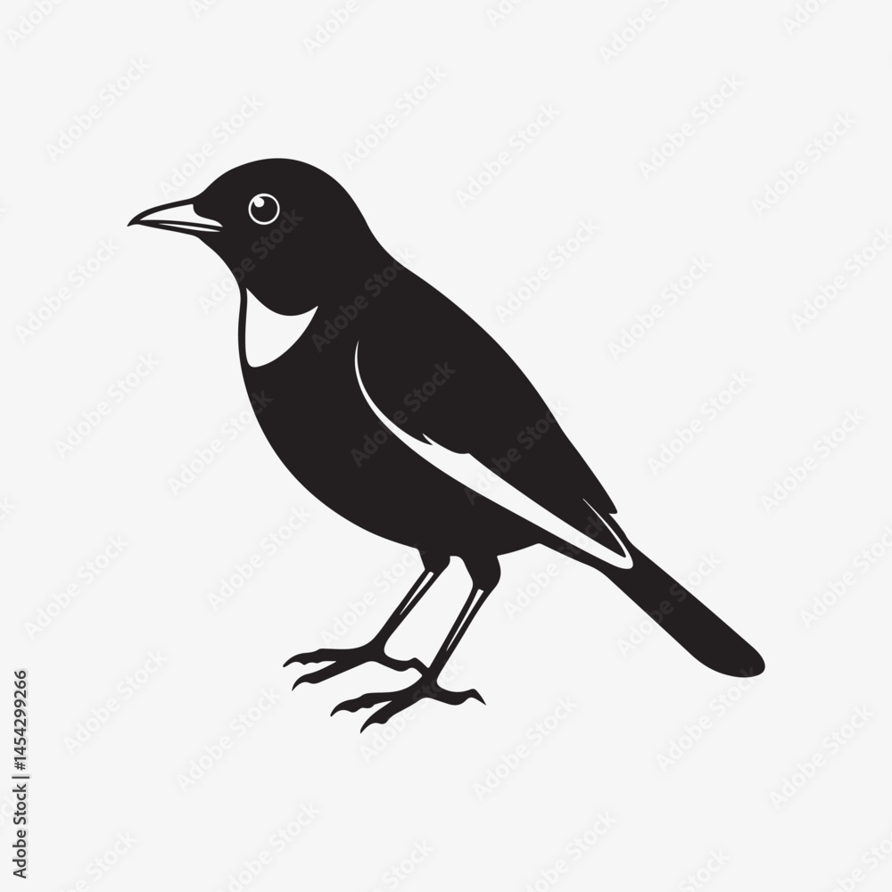 Fototapeta premium american robin silhouette black vector