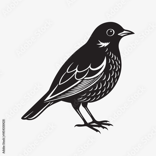 american robin silhouette black vector