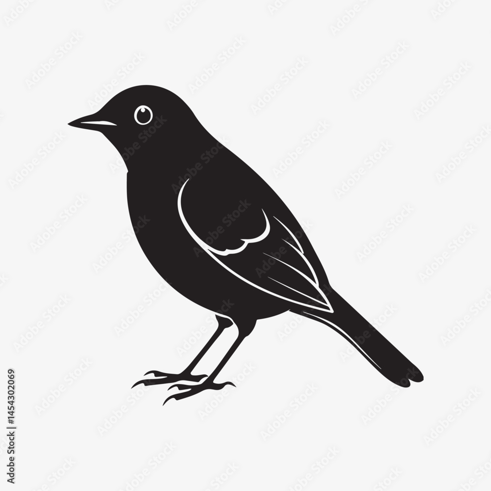 Obraz premium american robin silhouette black vector