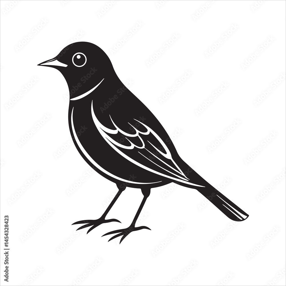 Obraz premium american robin silhouette black vector